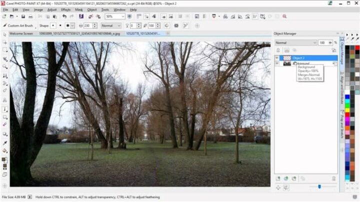 Como criar e editar com o pincel pulverizador de imagens usando o Corel Photo Paint